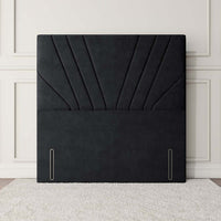 Black Plush Velvet