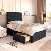 Black Plush Velvet