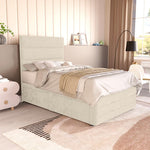 Havana Kids Divan Bed - Cream Plush Velvet