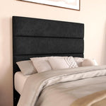 Havana Kids Divan Bed - Black Naples