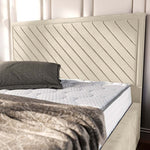 Oxford Upholstered Ottoman Bed - Mink Plush Velvet