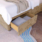 Tokyo Kids Divan Bed - Mink Plush Velvet