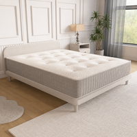 Snooze Pocket 1000 Mattress