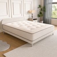 Snooze Encapsulation 1000 Mattress