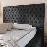 Ambassador Upholstered Ottoman Bed - Black Chenille