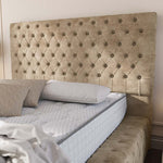 Ambassador Upholstered Ottoman Bed - Mink Coniston