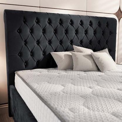 Berlin Upholstered Ottoman Bed - Black Plush Velvet