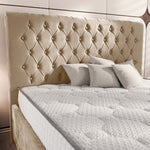 Berlin Upholstered Ottoman Bed - Mink Plush Velvet