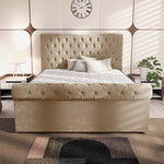 Berlin Upholstered Ottoman Bed - Mink Plush Velvet