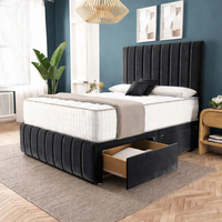 Black Plush Velvet