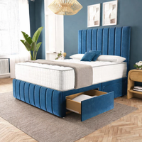 Blue Plush Velvet