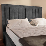 Hamilton Upholstered Bed - Charcoal Coniston