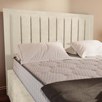 Hamilton Upholstered Bed - Cream Plush Velvet