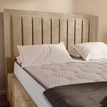 Hamilton Upholstered Bed - Mink Plush Velvet