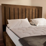 Hamilton Upholstered Bed - Mocca Plush Velvet