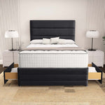 Havana Divan Bed - Black Plush Velvet