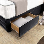 Havana Divan Bed - Black Plush Velvet