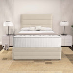Havana Divan Bed - Cream Plush Velvet