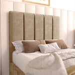 Lisbon Kids Upholstered Bed - Mink Plush Velvet