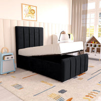 Black Plush Velvet