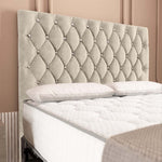 London Chesterfield Divan Bed - Cream Plush Velvet