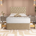 London Chesterfield Divan Bed - Mink Plush Velvet
