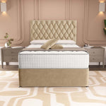 London Chesterfield Divan Bed - Mink Plush Velvet