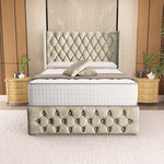 Luxor Wingback Divan Bed - Almond Coniston