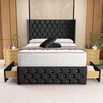 Luxor Wingback Divan Bed - Black Naples