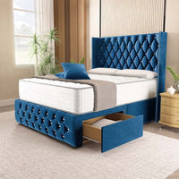 Blue Plush Velvet