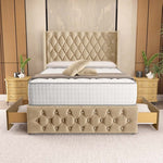 Luxor Wingback Divan Bed - Mink Plush Velvet