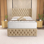 Luxor Wingback Divan Bed - Mink Plush Velvet