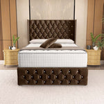 Luxor Wingback Divan Bed - Mocca Plush Velvet