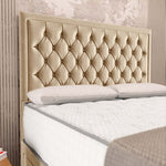Madrid Chesterfield Divan Bed - Mink Plush Velvet