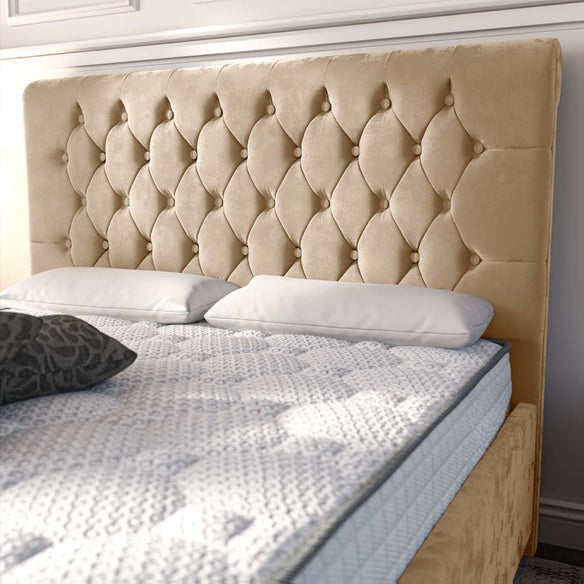Melbourne Upholstered Bed - Mink Plush Velvet