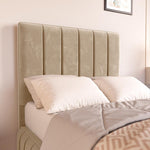 Milan Kids Upholstered Ottoman Bed - Mink Plush Velvet