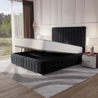 Black Plush Velvet