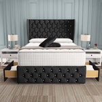 Monaco Wingback Divan Bed - Black Naples