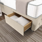 Monaco Wingback Divan Bed - Cream Plush Velvet