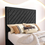 Oxford Kids Upholstered Bed - Black Naples