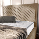 Oxford Upholstered Bed - Mink Plush Velvet