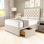 Panama Divan Bed - Cream Plush Velvet