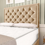Panama Divan Bed - Mink Plush Velvet