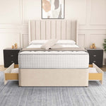 Prague Wingback Divan Bed - Cream Naples