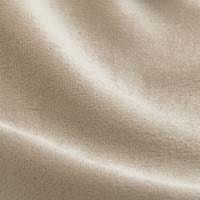 Cream Plush Velvet