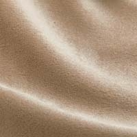 Mink Plush Velvet
