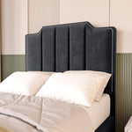Washington Kids Upholstered Bed - Black Plush Velvet