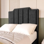 Washington Kids Upholstered Ottoman Bed - Black Naples
